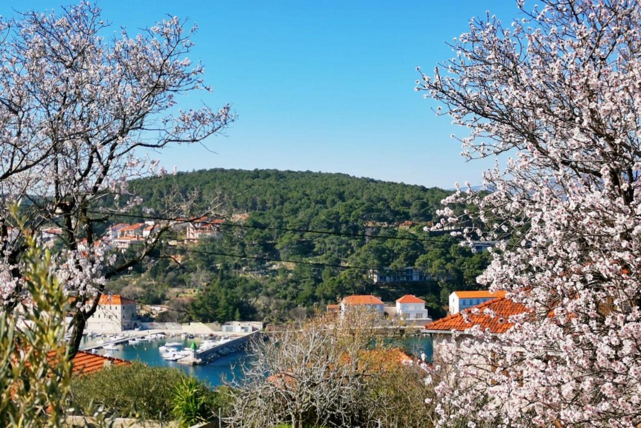 Jelsa View Apartments Dış mekan fotoğraf